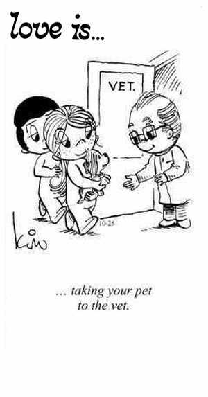 Love Is... taking your pet to the vet.